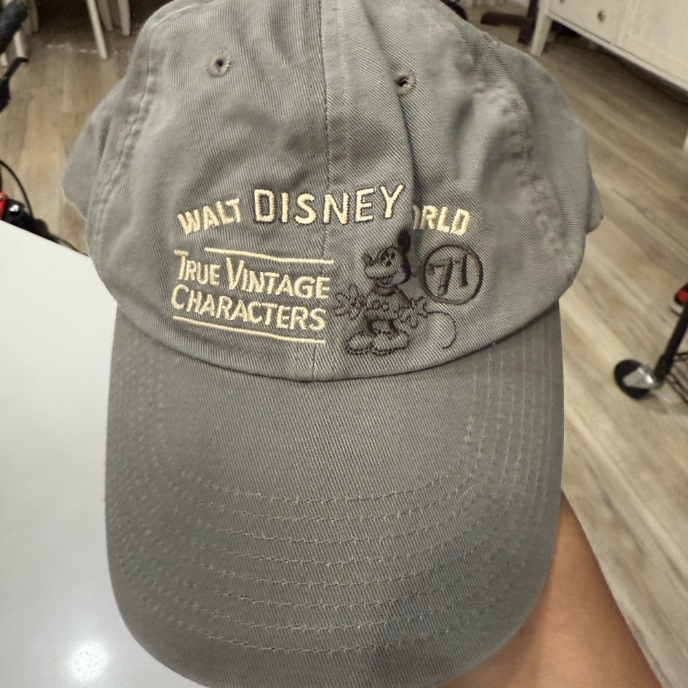 Walt Disney World Vintage Gray Cap‎